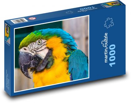 Blue-and-yellow macaw, close-up of a parrot - Puzzle 1000 pieces, size 60x46 cm 
