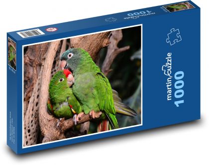 Papageien verliebt - Puzzle - 1000 Teile