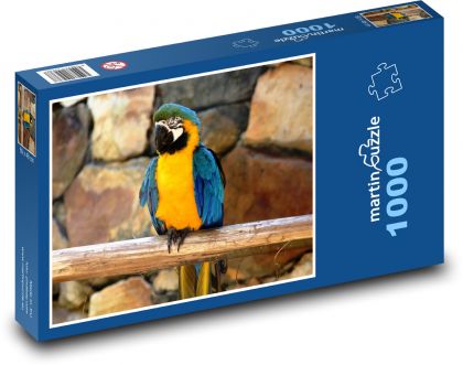 Pták - Ara - Puzzle 1000 dílků, rozměr 60x46 cm