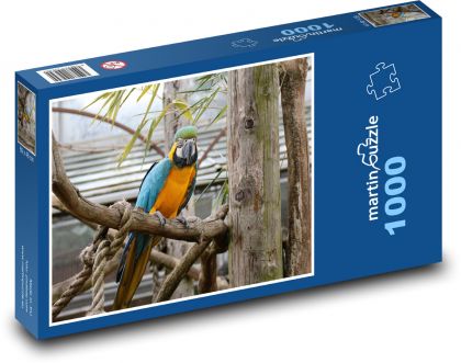 Papuga - Puzzle 1000 elementów, rozmiar 60x46 cm