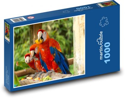 Papagáj - Puzzle 1000 dielikov, rozmer 60x46 cm