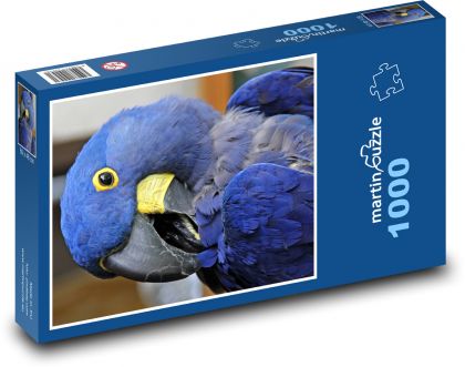 Papoušek - Puzzle 1000 dílků, rozměr 60x46 cm