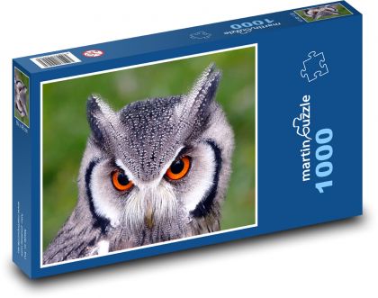 Eule mit orangefarbenen Augen - Puzzle - 1000 Teile