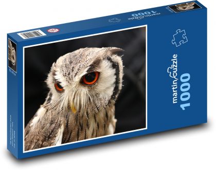Owl - Puzzle 1000 pieces, size 60x46 cm 