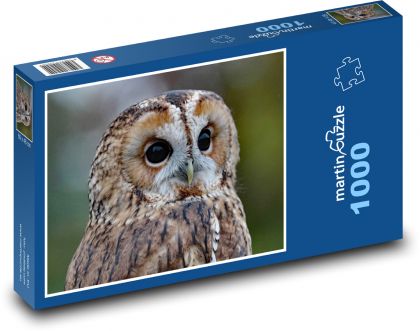 Sova, strážca lesa - Puzzle 1000 dielikov, rozmer 60x46 cm