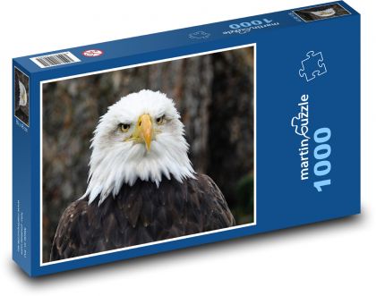 Orzeł bielik, ptak drapieżny - Puzzle 1000 elementów, rozmiar 60x46 cm