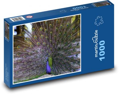 Piękny paw koronowy - Puzzle 1000 elementów, rozmiar 60x46 cm