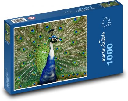 Pfau mit Spreizfedern - Puzzle - 1000 Teile