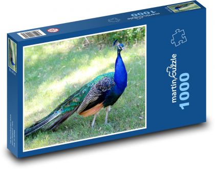 Peacock - Puzzle 1000 dielikov, rozmer 60x46 cm