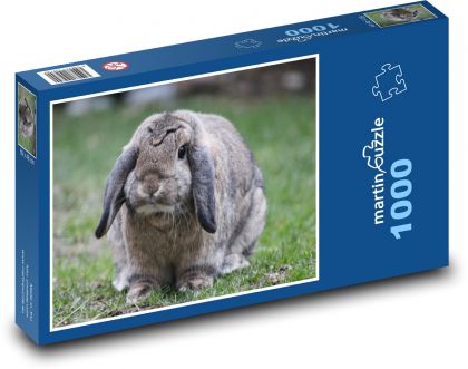 Králik s visiacimi ušami - Puzzle 1000 dielikov, rozmer 60x46 cm