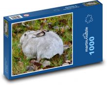 Graues Kaninchen sitzt in angegriffenen Blättern Puzzle 1000 Teile - 60 x 46 cm