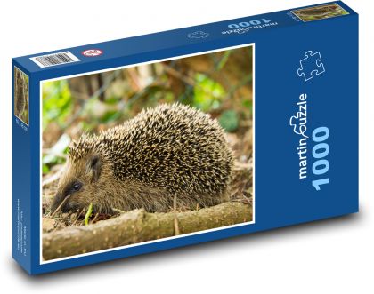 Hedgehog - Puzzle 1000 pieces, size 60x46 cm 