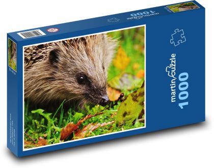 Ježek - Puzzle 1000 dílků, rozměr 60x46 cm