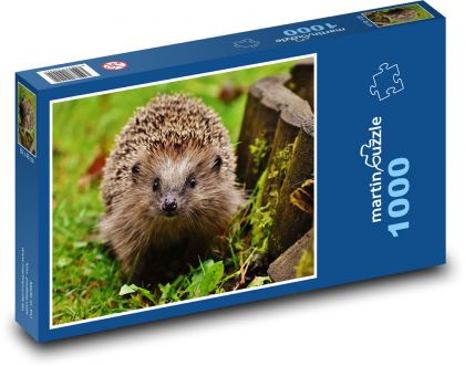 Hedgehog in the forest - Puzzle 1000 pieces, size 60x46 cm 