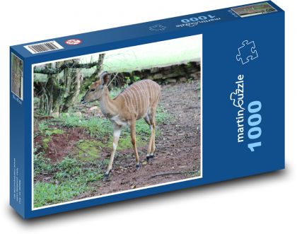 Jelen, laň s bílými pruhy - puzzle 1000 dílků