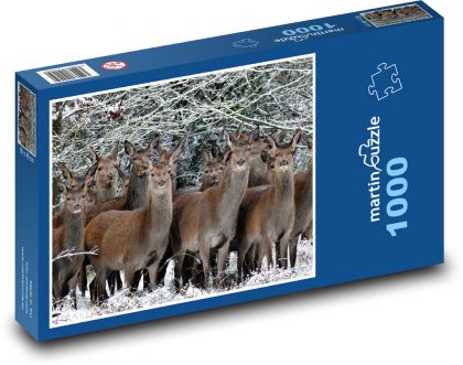 Deer - doe - Puzzle 1000 pieces, size 60x46 cm 