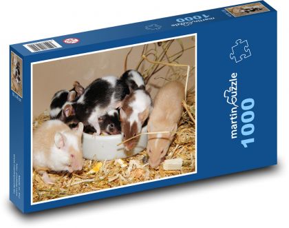 Myši - Puzzle 1000 dílků, rozměr 60x46 cm