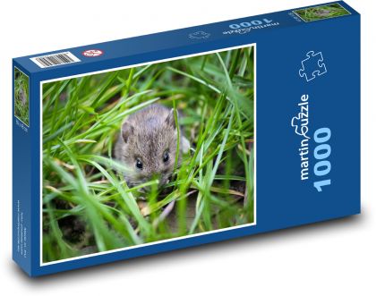 Myš ukrytá v tráve - Puzzle 1000 dielikov, rozmer 60x46 cm