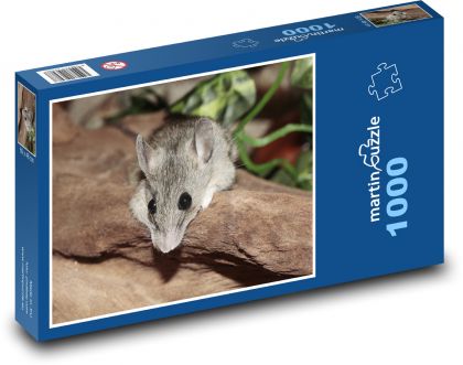 Myš - Puzzle 1000 dílků, rozměr 60x46 cm