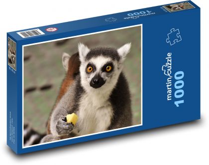 Lemur má v tlapě jablko - puzzle 1000 dílků