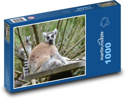 Madagaskar Lemur - Puzzle - 1000 Teile