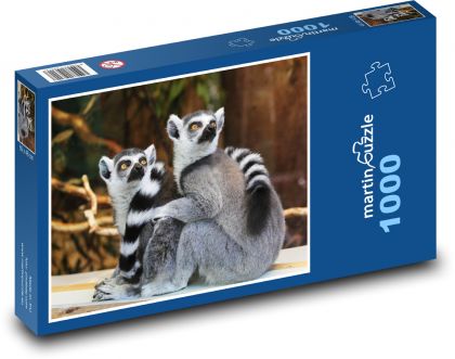 Lemur - Puzzle 1000 dílků, rozměr 60x46 cm
