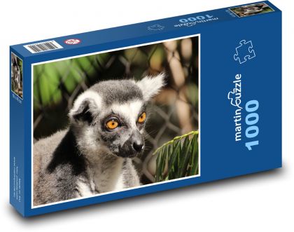 Lemur - Puzzle 1000 dílků, rozměr 60x46 cm