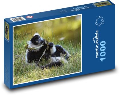 Lemur vari čierna a biela - Puzzle 1000 dielikov, rozmer 60x46 cm