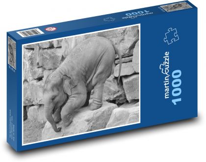 Malé slůně hrající si na skále - puzzle 1000 dílků