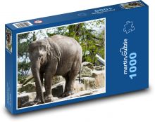 Slon Puzzle 1000 dílků - 60 x 46 cm