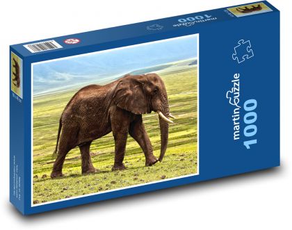 Slon vo voľnej prírode - Puzzle 1000 dielikov, rozmer 60x46 cm
