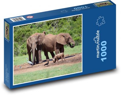 Rodina slonů ve volné přírodě - Puzzle 1000 dílků, rozměr 60x46 cm