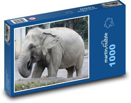 Elephant in enclosure - Puzzle 1000 pieces, size 60x46 cm 