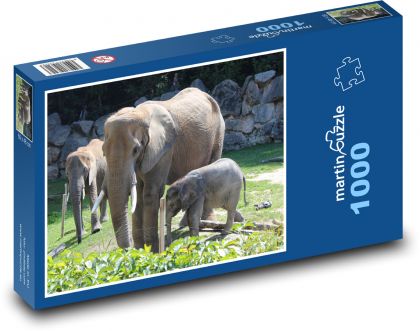Slon - Puzzle 1000 dílků, rozměr 60x46 cm