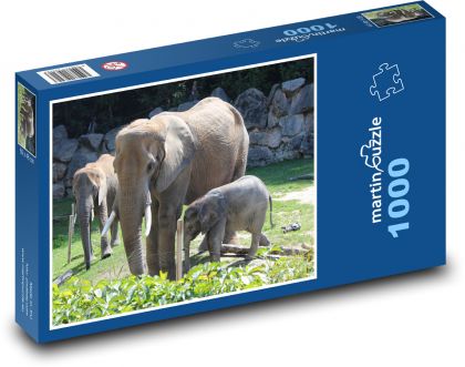 Rodzina słoni w ogrodzeniu zoo - Puzzle 1000 elementów, rozmiar 60x46 cm