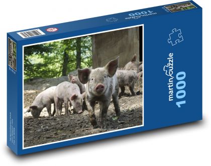Pig - Puzzle - 1000 Teile