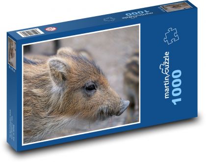 Świnia - Puzzle 1000 elementów, rozmiar 60x46 cm