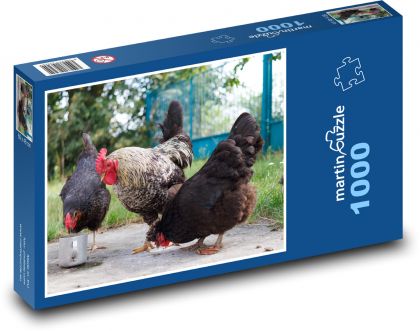 Kurczak i kogut na podwórku - Puzzle 1000 elementów, rozmiar 60x46 cm