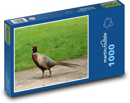 Pheasant - Puzzle 1000 pieces, size 60x46 cm 