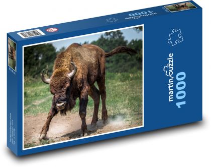 Bison - Puzzle 1000 dielikov, rozmer 60x46 cm