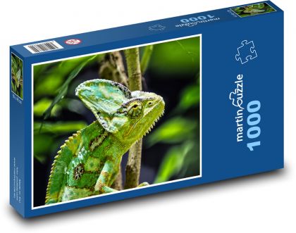 Chameleon - Puzzle 1000 pieces, size 60x46 cm 