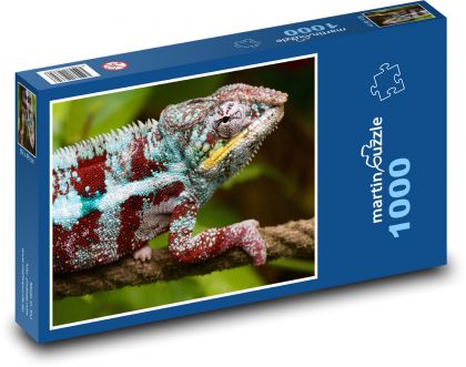 Chameleon - Puzzle 1000 dílků, rozměr 60x46 cm