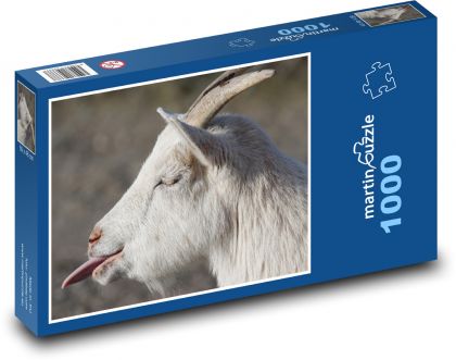 Goat - Puzzle 1000 pieces, size 60x46 cm 