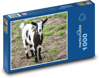 Spotted goat in pasture - Puzzle 1000 pieces, size 60x46 cm 