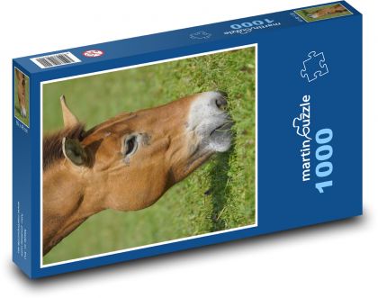 Horse - Puzzle 1000 pieces, size 60x46 cm 