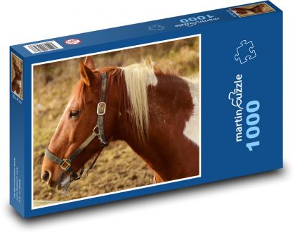 Brązowo-biały koń z uprzężą - Puzzle 1000 elementów, rozmiar 60x46 cm
