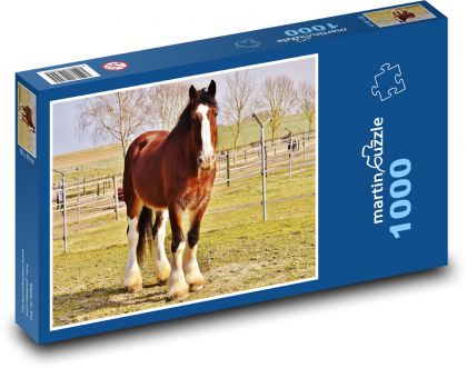 Hnedý kôň s bielou plešatinou - Puzzle 1000 dielikov, rozmer 60x46 cm