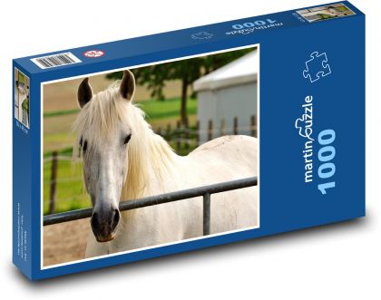 Bílý kůň v ohradě - puzzle 1000 dílků