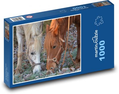 Hnedé a biele kone pasúce sa na zamrznutej tráve - Puzzle 1000 dielikov, rozmer 60x46 cm