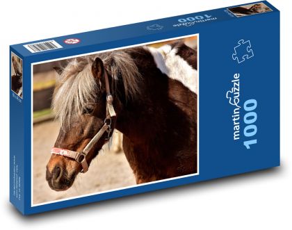 Hnedý kôň s bielymi škvrnami vo výbehu - Puzzle 1000 dielikov, rozmer 60x46 cm